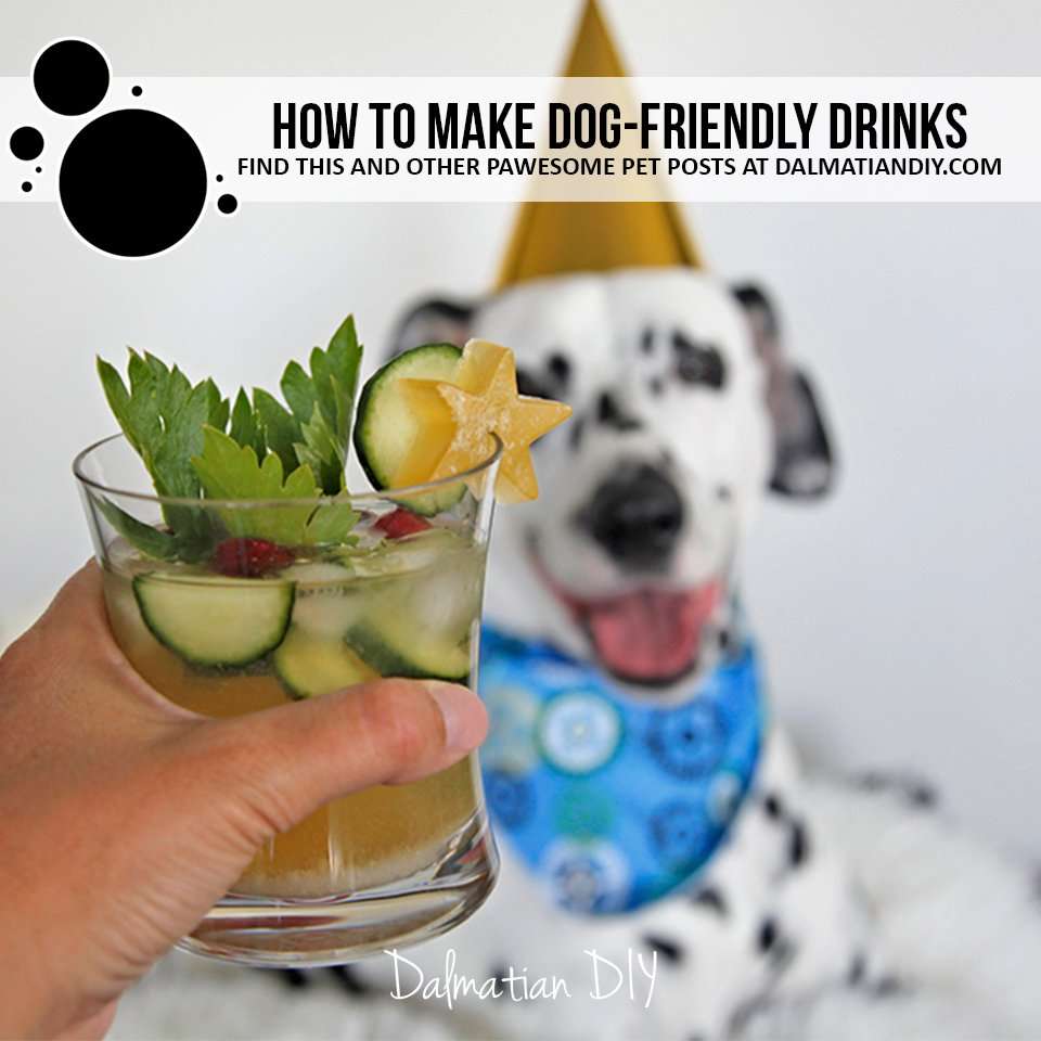 Best Dog Themed Cocktail Names: Learn How to Make Simple and Yummy Drinks!