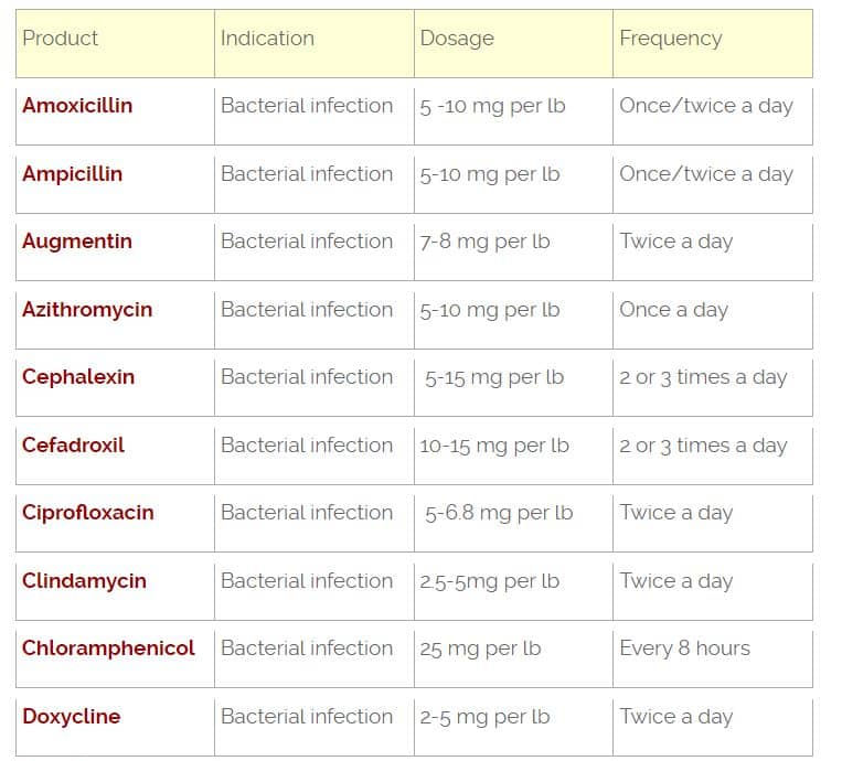 Clavacillin for Dogs Dosage Chart: How Much to Give Your Pup Easily