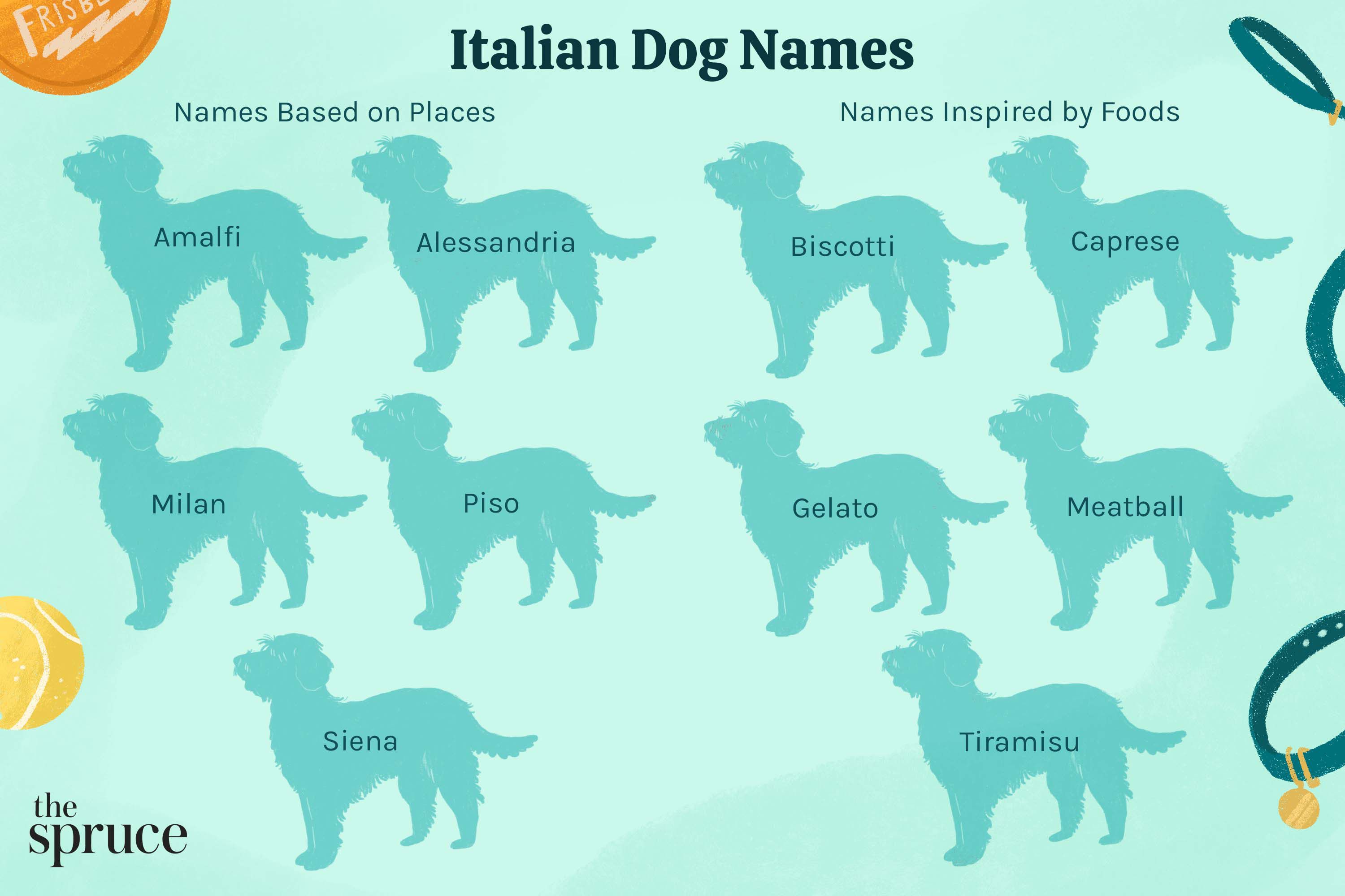 Need Dog Names Italian Female? Check Out This Great List!