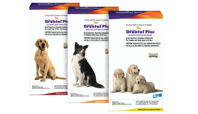 Drontal for Dogs Without Vet Prescription: Is It Safe to Buy Online? Heres What You Should Know!