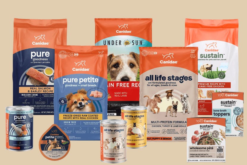 Looking for Comparable Dog Food to Victor? Check This Out!