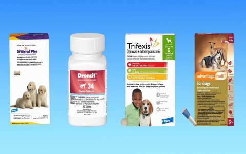 How to Use Pyrantel Dewormer for Puppies? Simple Guide