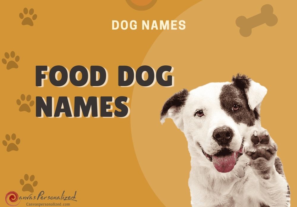 Granola Dog Names: Cool and Yummy Names for Your Pet!