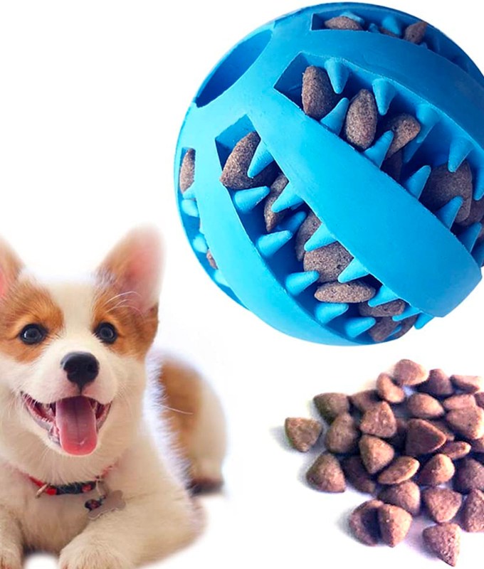 Best Treat Toys for Dogs: Keep Your Pup Happy and Busy!