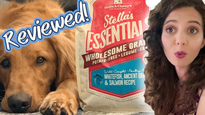 Is Stella and Chewy Right for Your Dog? The Best Stella and Chewy Dog Food Review!