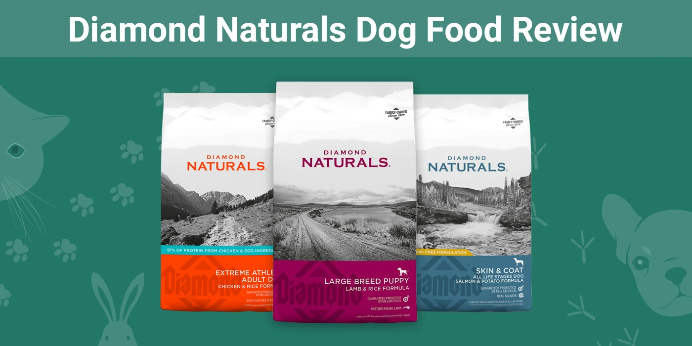 Diamond Brand Dog Food Reviews: Good or Bad? Real Owners Share Their Experiences