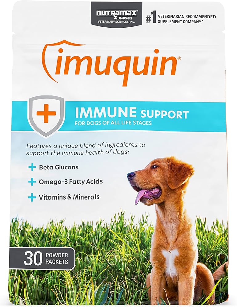 Imuquin for Dogs Side Effects: A Simple Guide for Dog Lovers!