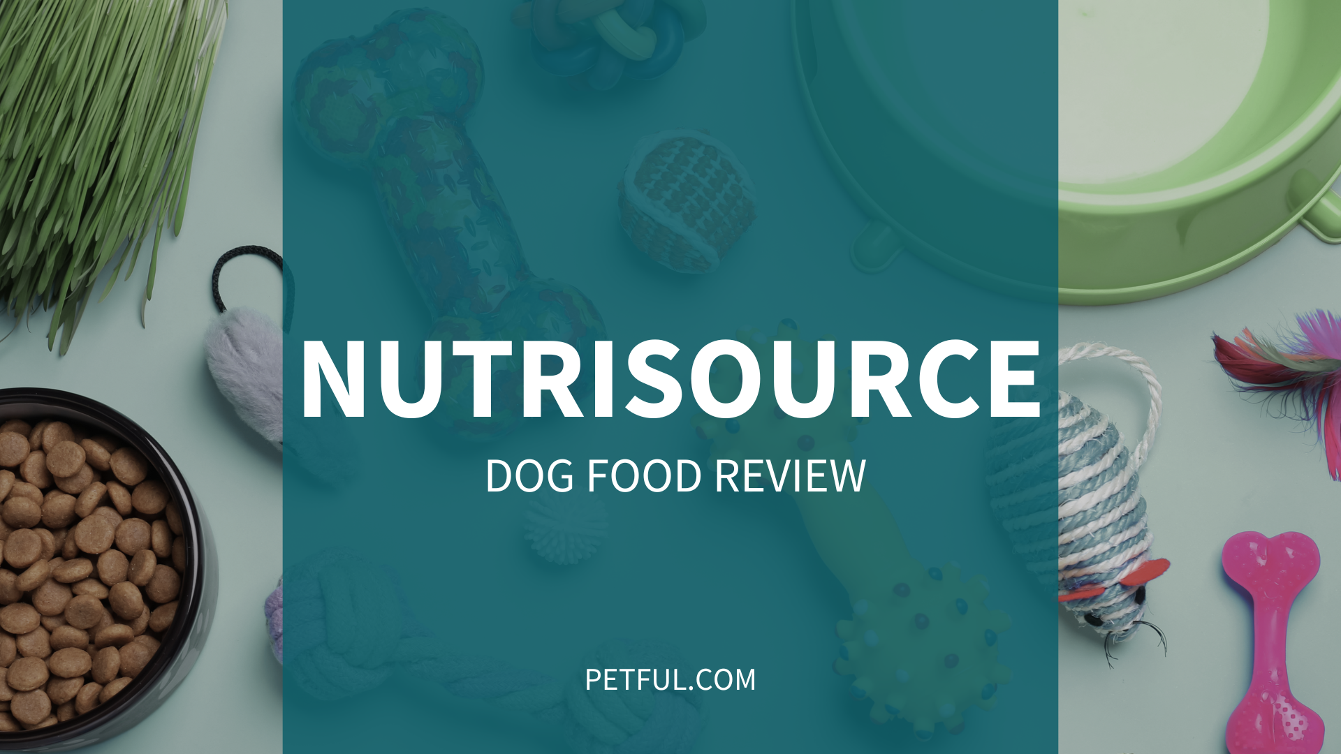 Reviews on NutriSource Dog Food: Pros, Cons & More!