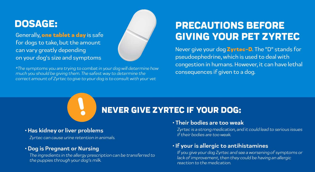 Liquid Zyrtec Dosage for Dogs: A Simple Guide for Dog Owners