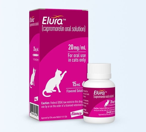 Elura for Dogs: Does It Really Work for Feline Appetite?