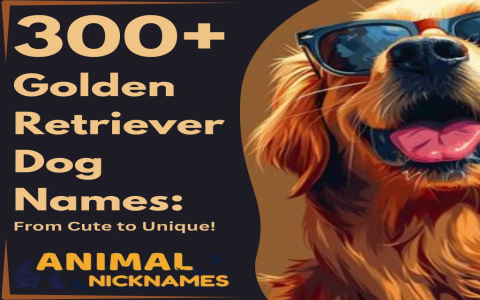 Dog Names That Start With a G - Get Inspired by These Great Names!