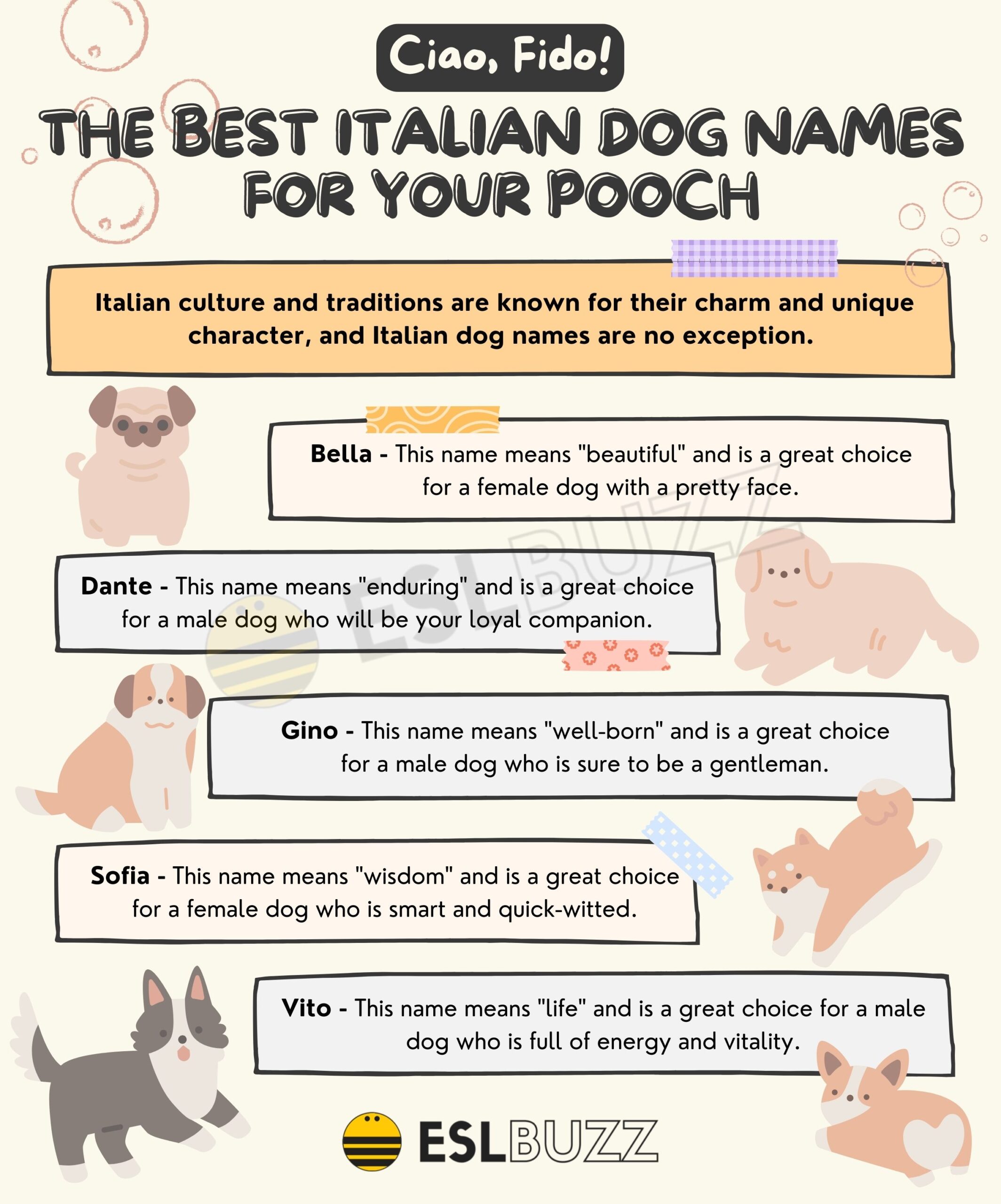 Italian food dog names: Delicious and adorable ideas for your new pup!