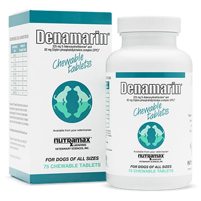 Denamarin for Dogs: Is There a Better Alternative for Liver Support?