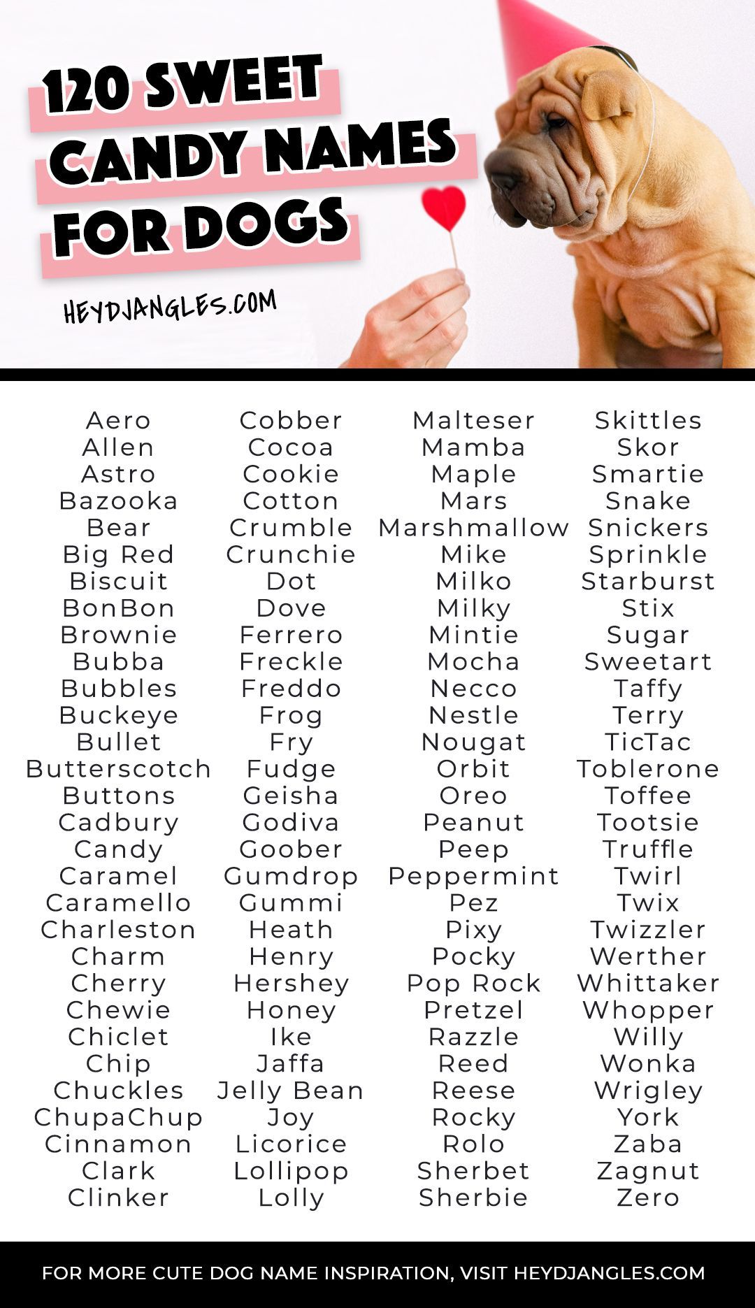 Best Candy Names for Dogs: What is Your Favorite?