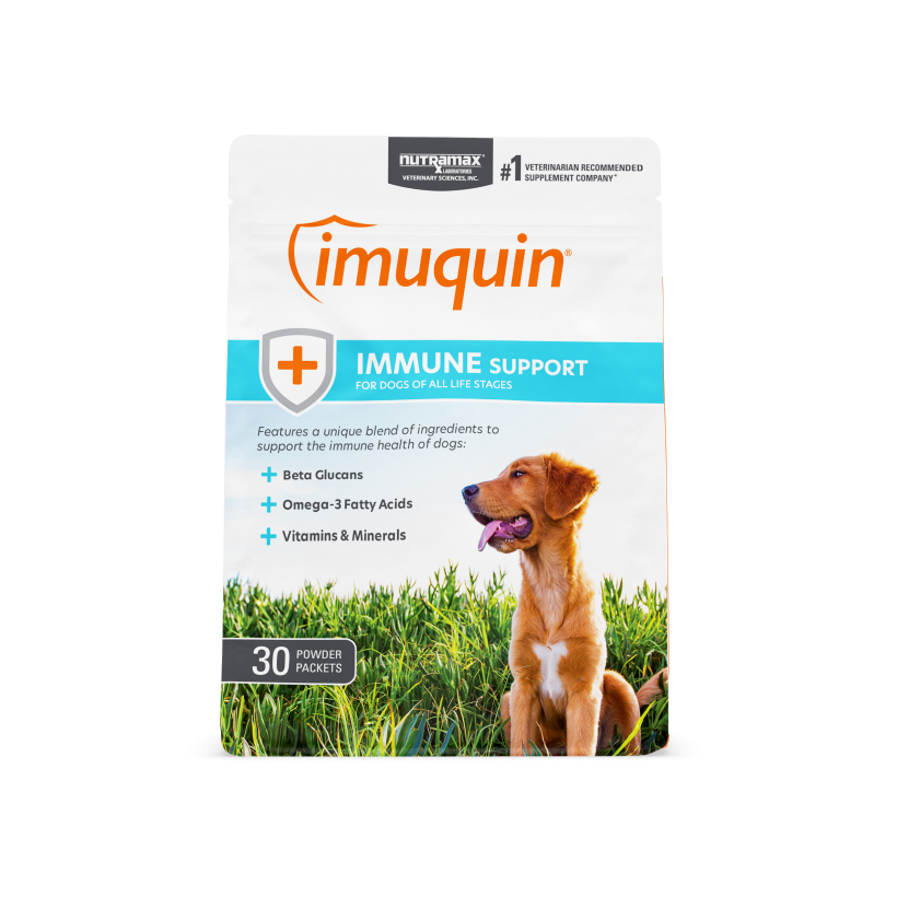 Imuquin for Dogs Side Effects: A Simple Guide for Dog Lovers!