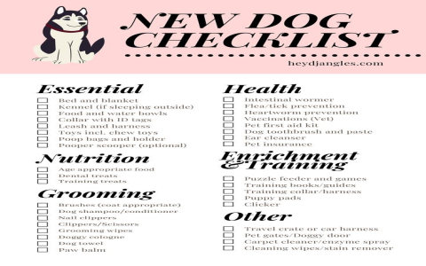 Need Dog Names That End in A? Check Out These Options!