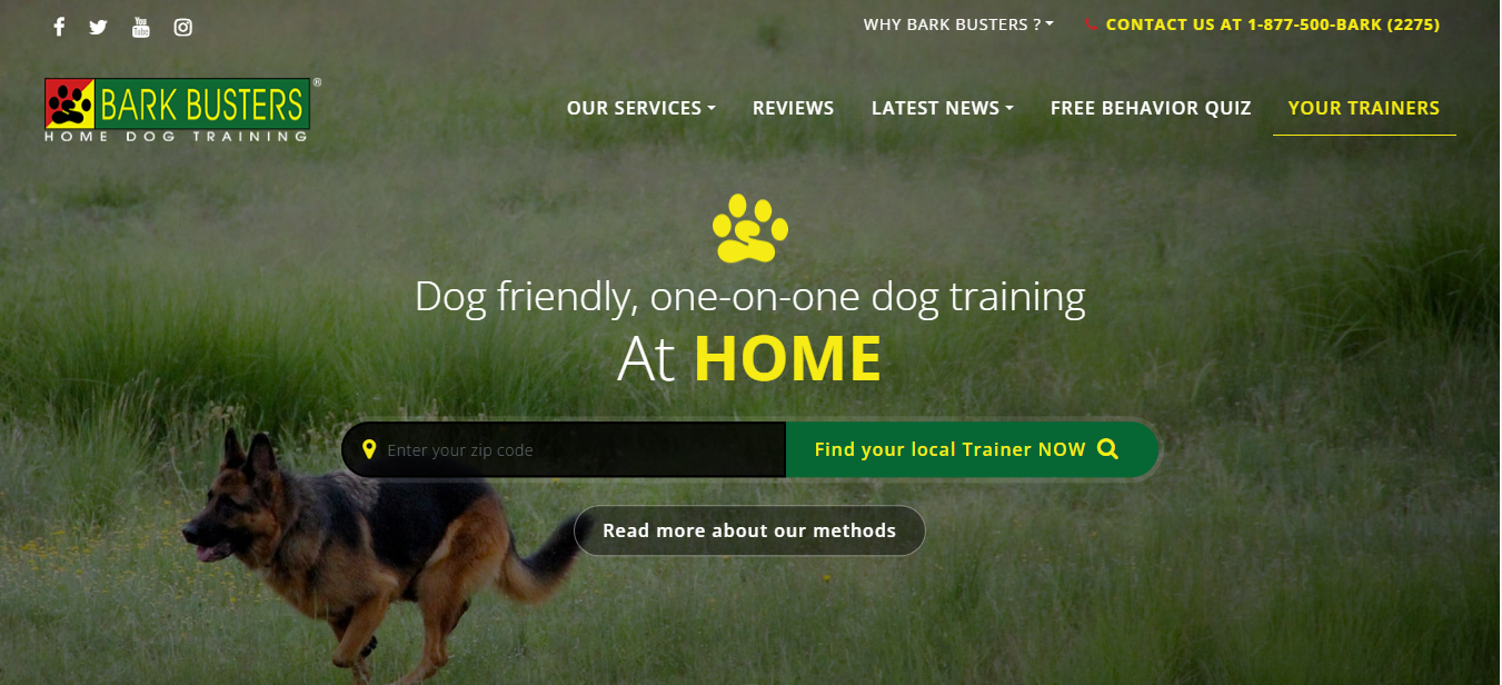 Bark Busters Home Dog Training Prices: What Is the Cost? Find Affordable Dog Training