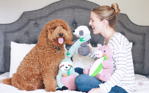 Cute and Durable Japanese Dog Toys: Where to Buy Them Online