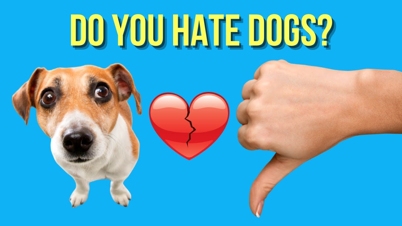 Why Do I Hate Dogs So Much? Heres a Look at Some Possible Reasons and Explanations.