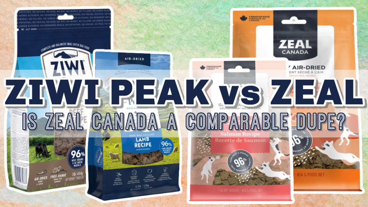 zeal dog food vs. other brands: See how it compares to the competition!