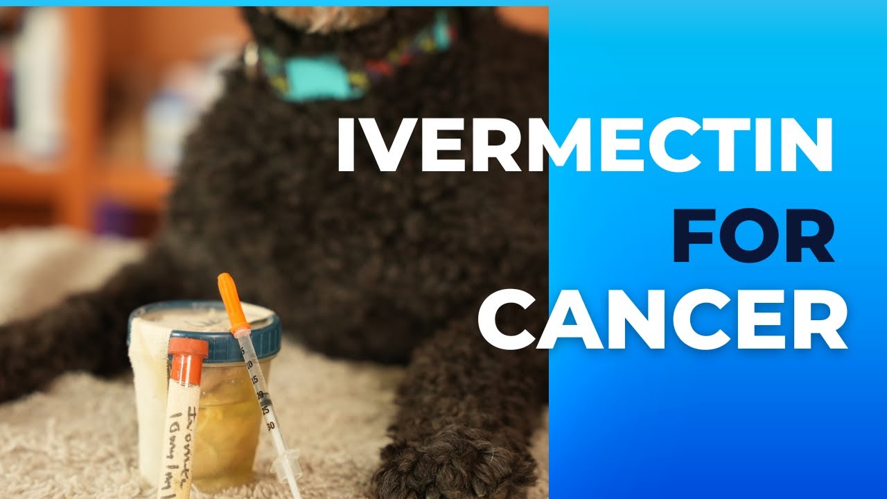 Need Ivermectin for Dogs Dosage in CC? Heres What You Should Know