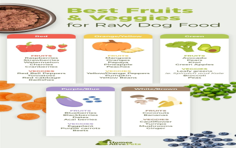 Homemade Dog Food Pancreatitis: Is it Right For Your Dog? (Tips and Guidelines)