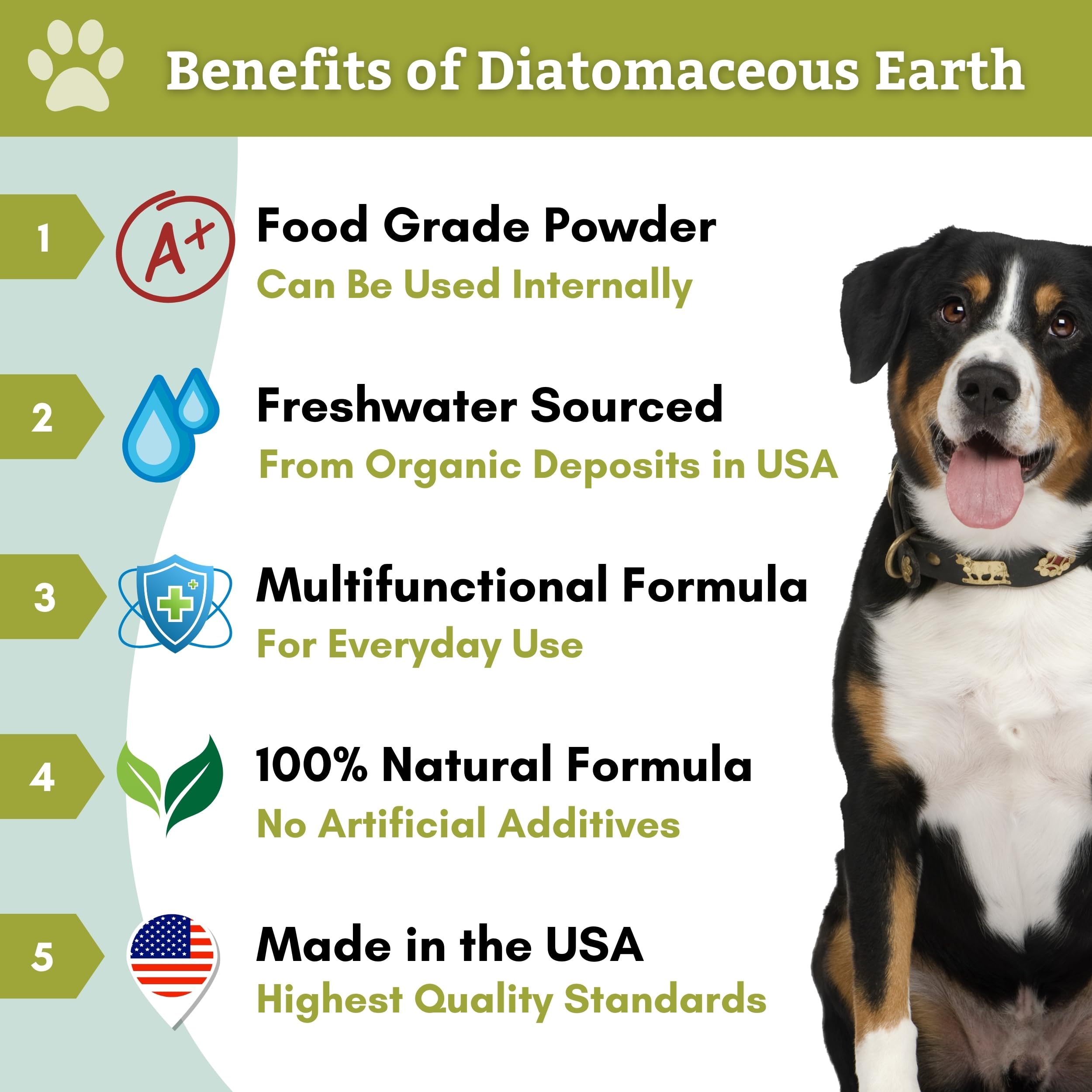 Safe Dosage of Diatomaceous Earth for Dogs: What to Know