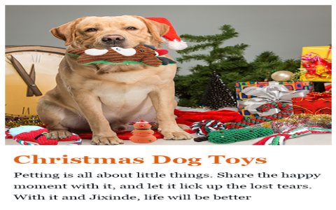 First Christmas Dog Toy on a Budget: Affordable and Adorable Options for You.