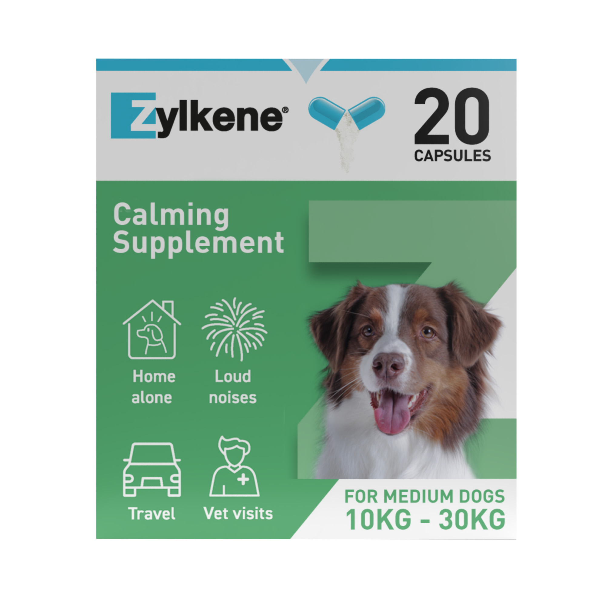 Zylkene for Dogs Reviews:  Pros, Cons, and Real Experiences!