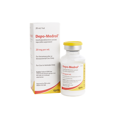 Depo Medrol for Dogs: How Much is Safe? (Easy Dosage Guide)