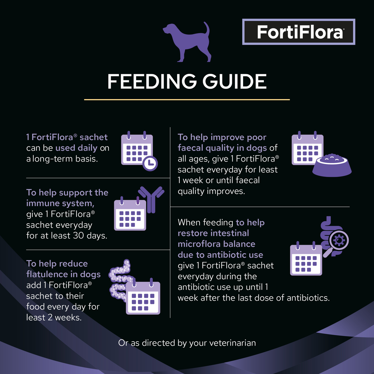 Using Fortiflora for Dogs? A Guide to Correct Dosage