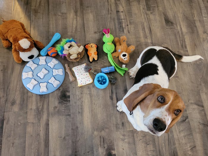 Fabric Dog Toys: Are They Right for Your Pup? Best Durable Options