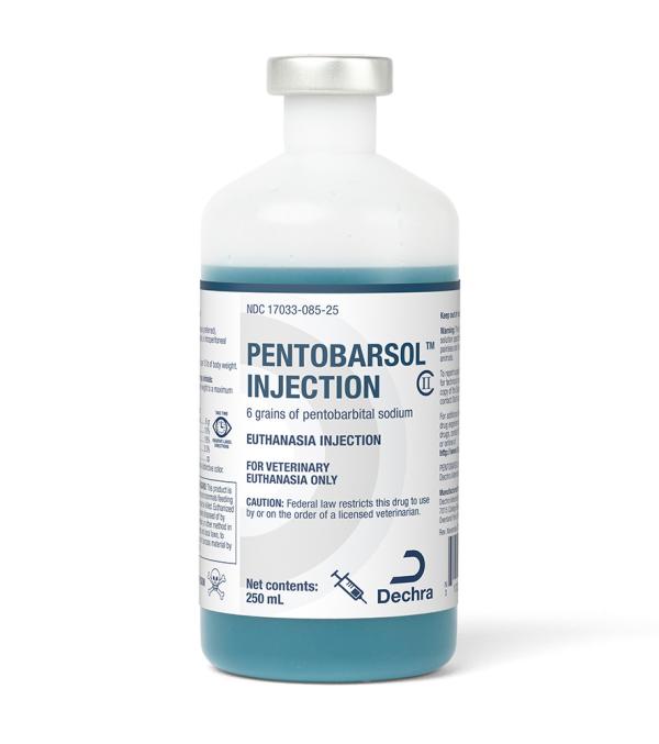 Using Phenobarbital to Euthanize a Dog: How Much Is the Right Dose?