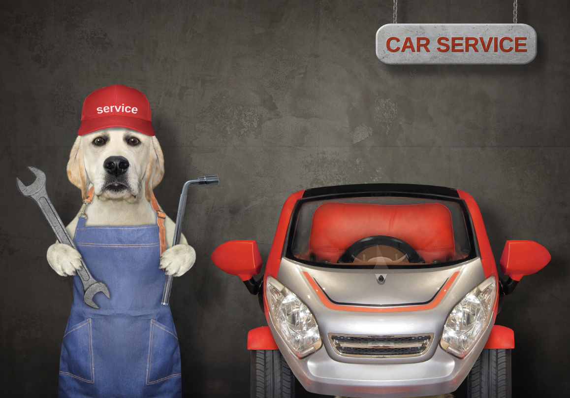 Top Car Puppy Names! Check Out This List for Your New Furry Companion!