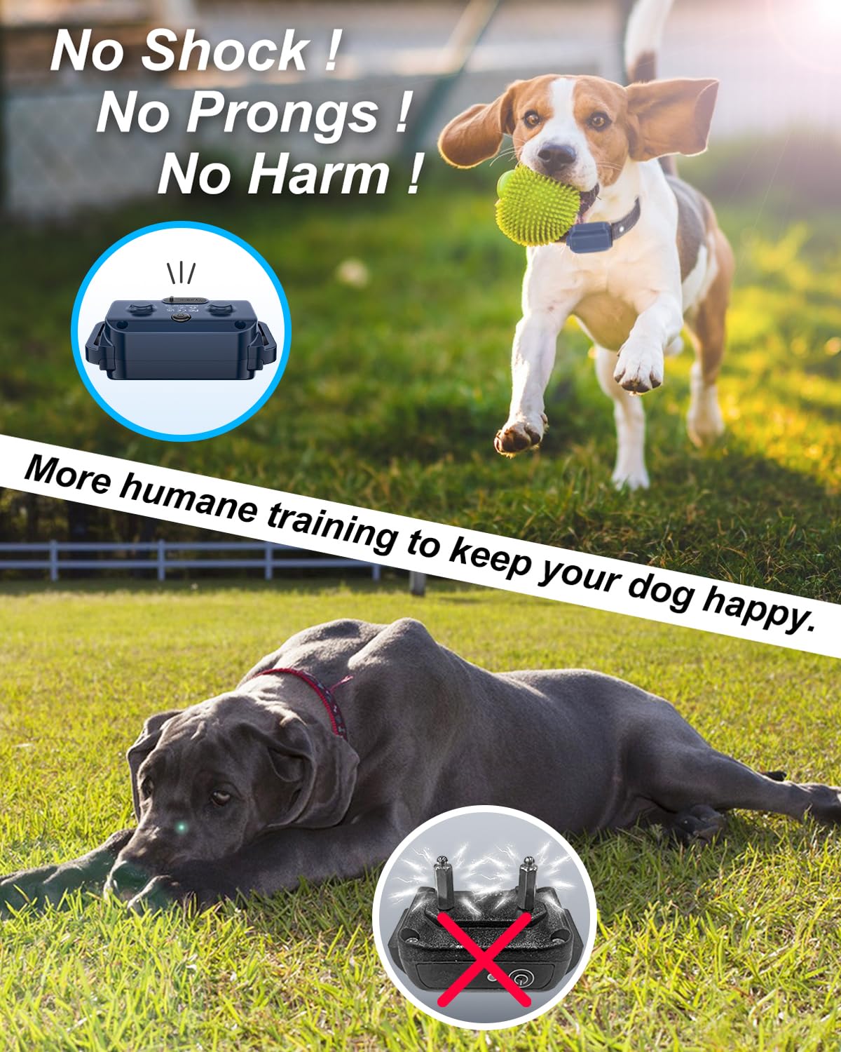 Happy Dog, Happy You: No Shock Collar for Dogs - Explore Kind Training Options