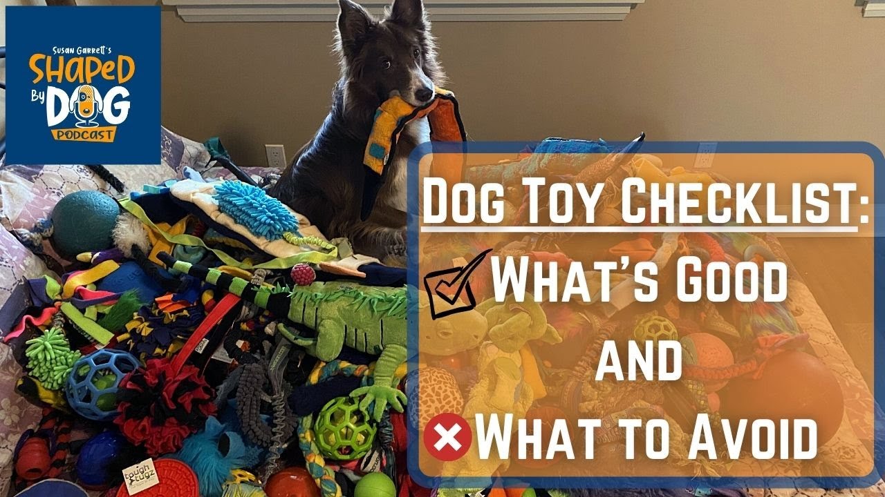 Box of Dog Toys: What to Look For and Avoid? Pro Tips for Owners!