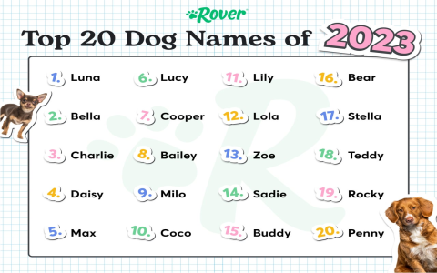 Star Trek Dog Names: Best List of Creative and Unique Options!