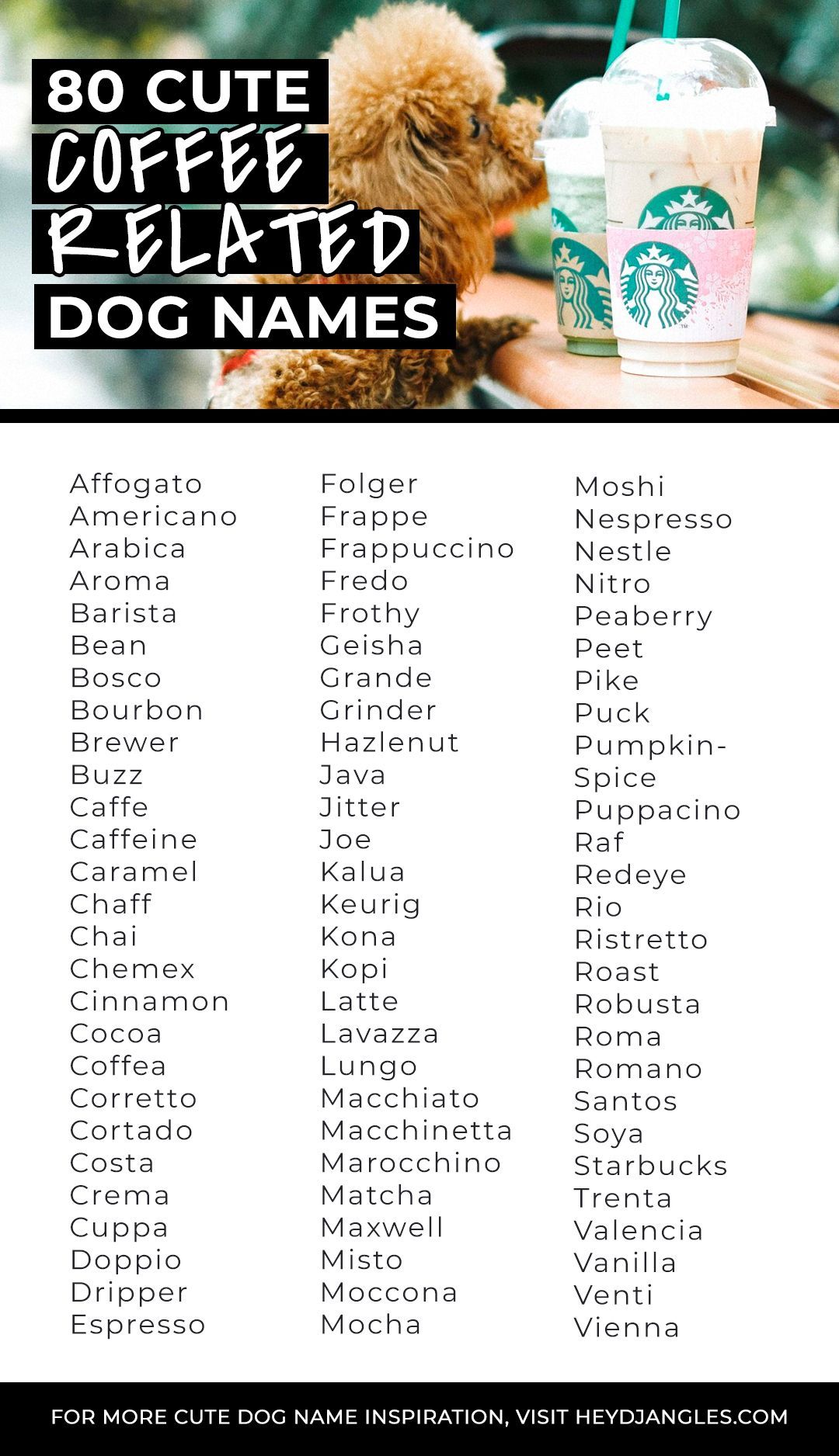 Coffee Themed Dog Names: Unique and Adorable Picks for Your Pet