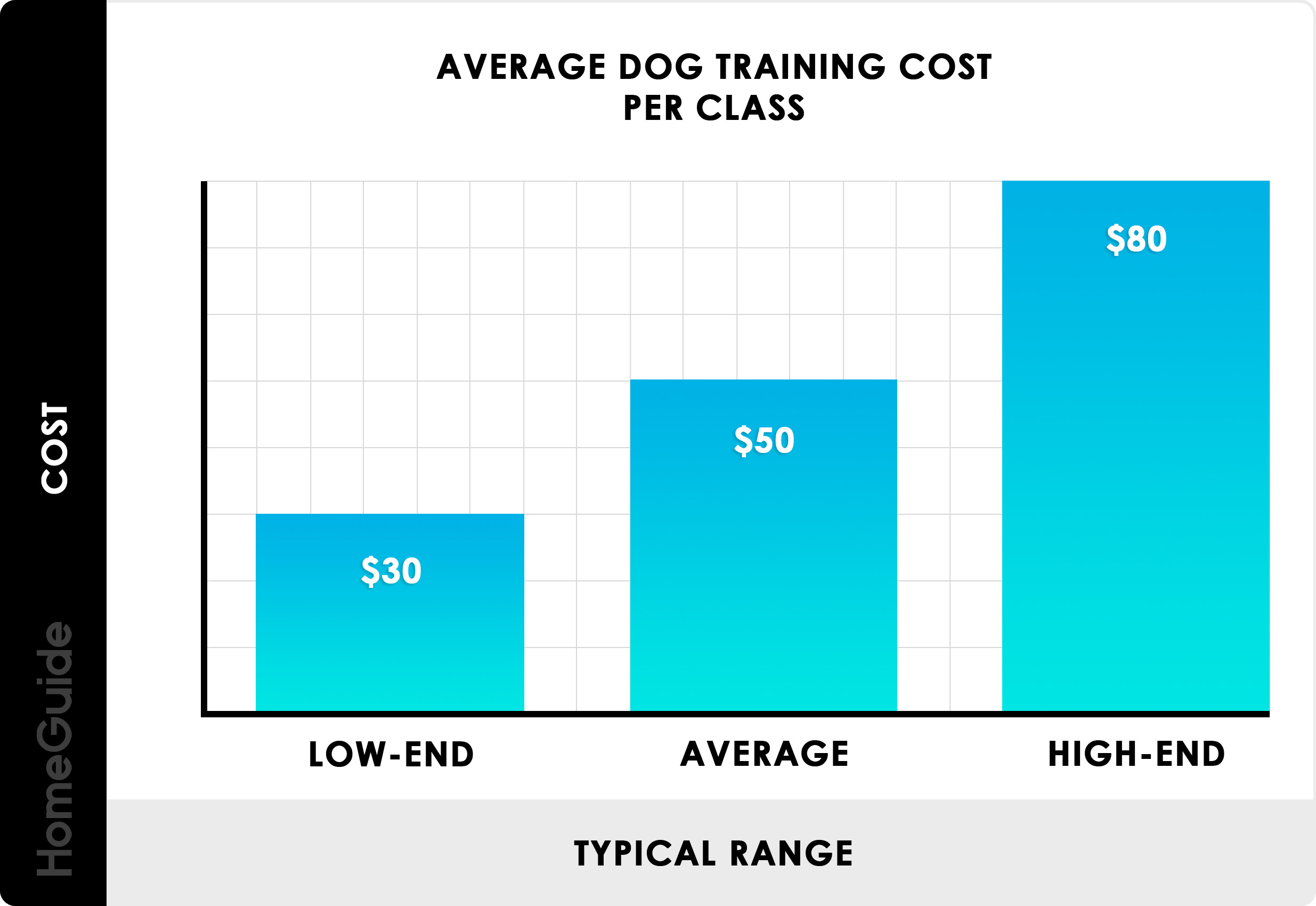 Dog Training Columbus Ohio Prices: Whats the Average Cost?