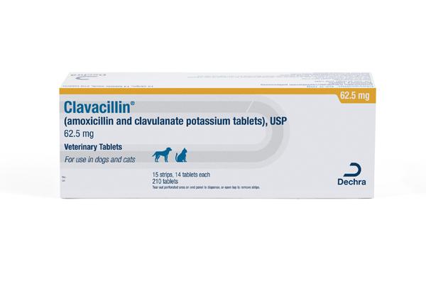 Is Clavacillin for Dogs 62.5 mg Right for Your Pet? Find Out Here