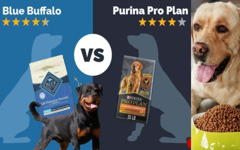 Science Diet vs Blue Buffalo Dog Food:  Pros and Cons to Consider for Your Dog!