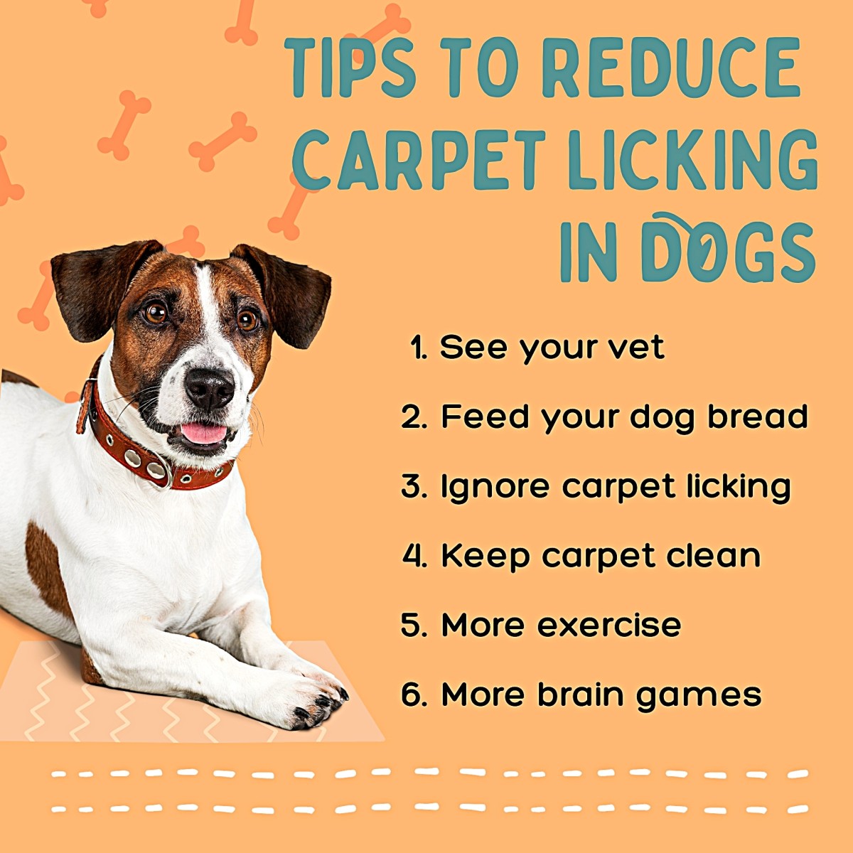 Why My Dog Licks the Carpet So Much: Get the Answers and Solutions Right Here!