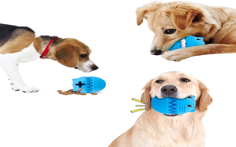 Durable Dog Toys for Lab Puppies - What Works Best?