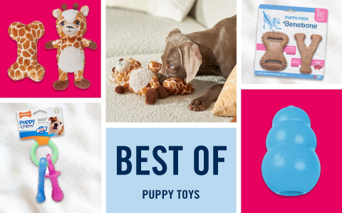 Best Dog Sniff Toys: Top Picks to Keep Your Pup Busy and Happy All Day Long