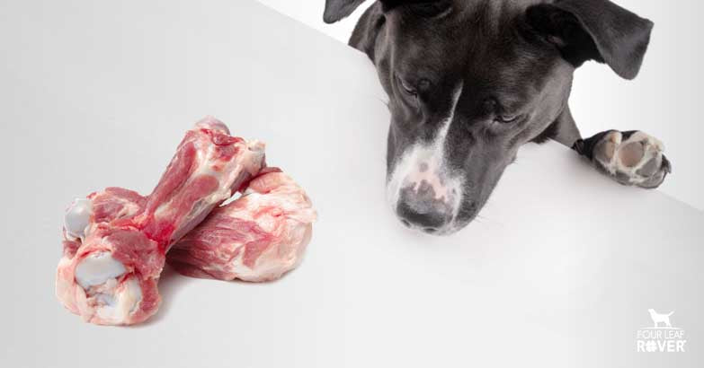 Are Pork Neck Bones for Dogs Okay? Vet Tips for Safety.