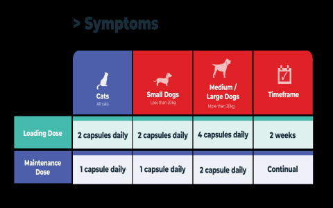 Meloxidyl for Dogs Dosage Chart: Find the Right Dose Easily