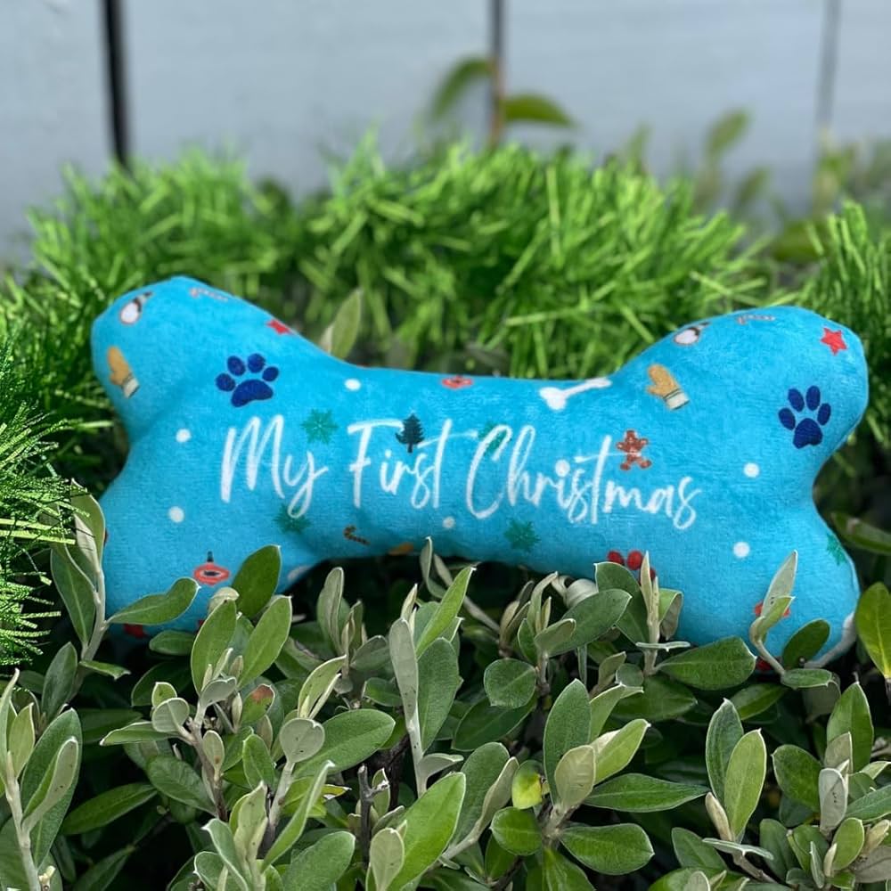 First Christmas Dog Toy on a Budget: Affordable and Adorable Options for You.