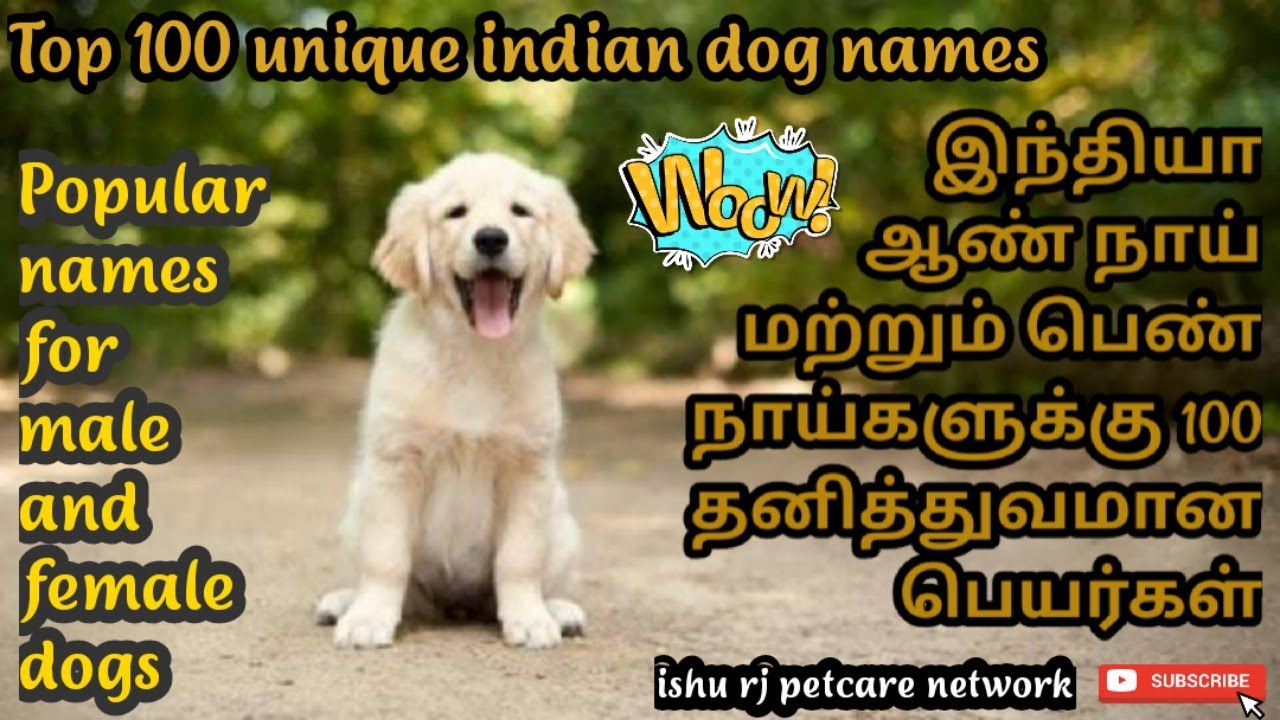 Tamil Dog Names: Easy Guide for Boy & Girl Dogs!