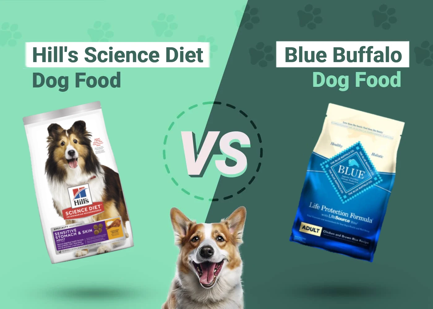 Science Diet vs Blue Buffalo Dog Food:  Pros and Cons to Consider for Your Dog!