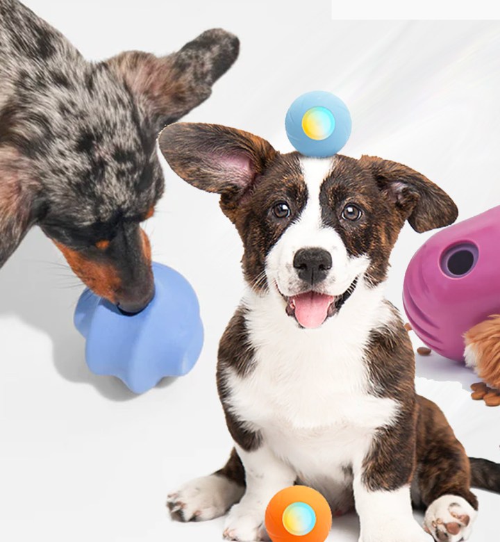 Interactive High Prey Drive Dog Toys: Which Toys Will Keep Your Dog Entertained?